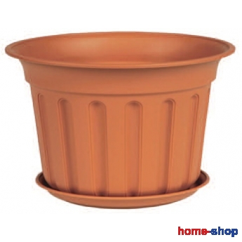 Γλάστρα ΟΛΥΜΠΙΑ