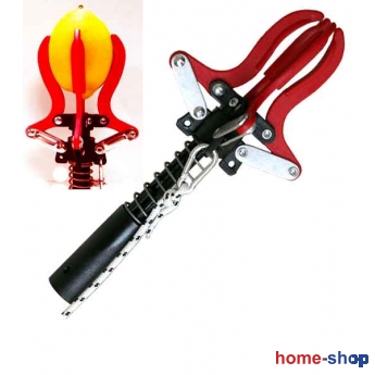 Συλλέκτης Φρούτων Κονταριού