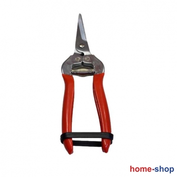 Ψαλίδι Φρούτων Ίσιο