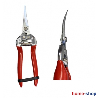 Ψαλίδι Φρούτων Κυρτό