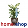 Σύστημα Ποτίσματος Φυτών Σε Γλάστρες GF Aquaflora Holiday Basic 6343