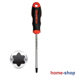 Benman Maxpower Κατσαβίδι Torx Με Τρύπα T20x100mm 75169